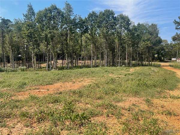 2.3 Acres of Residential Land for Sale in Berry, Alabama