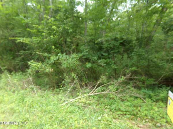 0.25 Acres of Residential Land for Sale in Crossville, Tennessee
