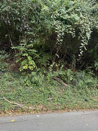 0.26 Acres of Residential Land for Sale in Roanoke, Virginia