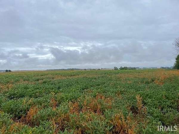 32.9 Acres of Agricultural Land for Sale in Linton, Indiana