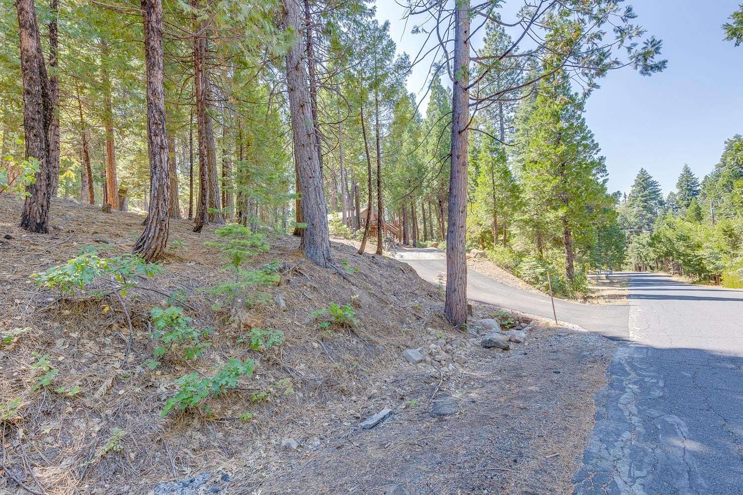 0.59 Acres of Residential Land for Sale in Camp Connell, California