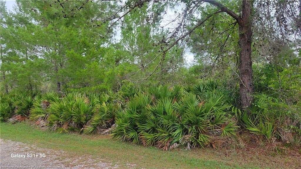 0.24 Acres of Residential Land for Sale in Lake Placid, Florida