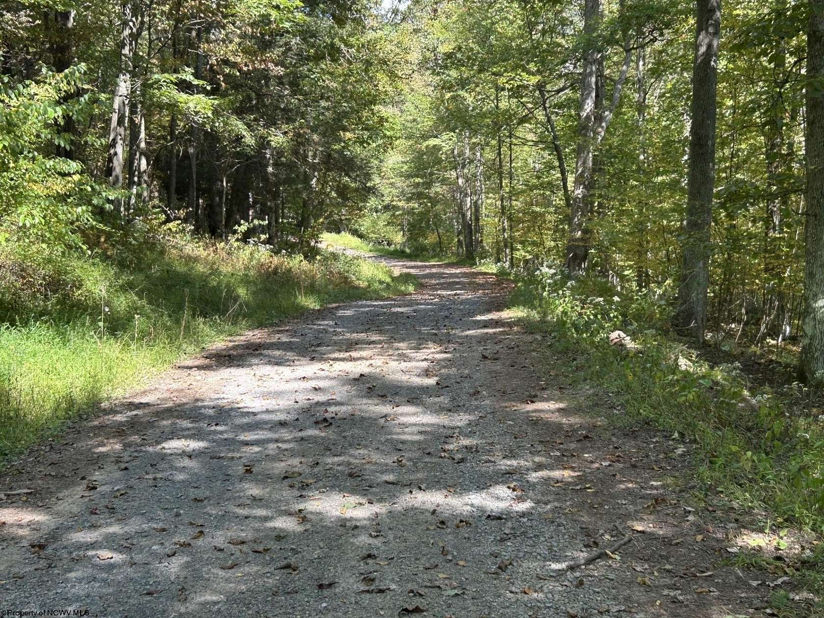 15.2 Acres of Recreational Land for Sale in Terra Alta, West Virginia