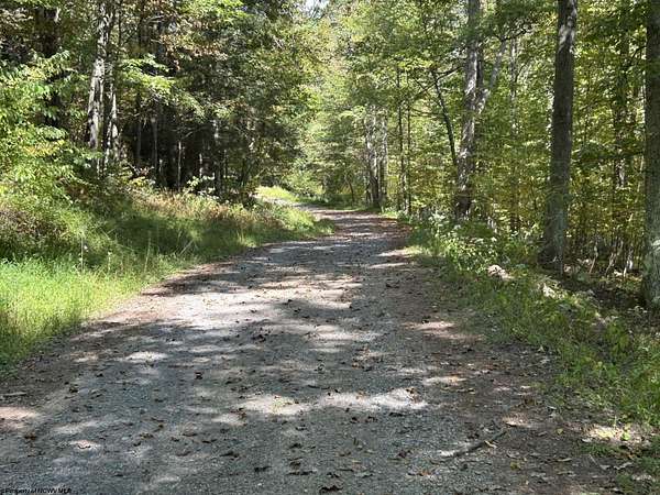 15.2 Acres of Recreational Land for Sale in Terra Alta, West Virginia