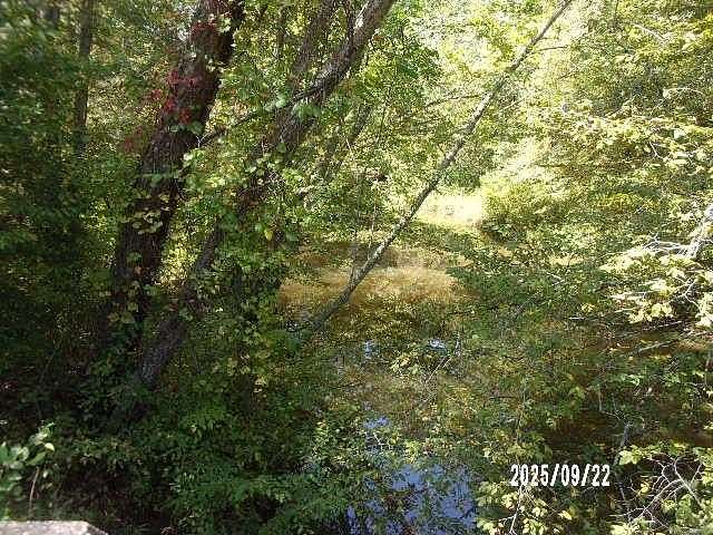 44.1 Acres of Recreational Land for Sale in Warsaw, Virginia