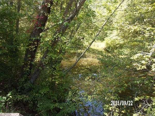 44.1 Acres of Recreational Land for Sale in Warsaw, Virginia