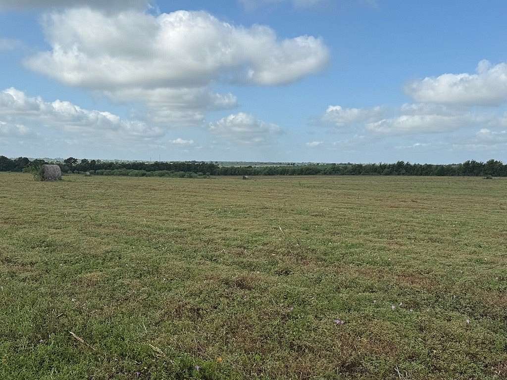 61.3 Acres of Land for Sale in Brenham, Texas