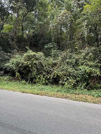 0.23 Acres of Residential Land for Sale in Roanoke, Virginia
