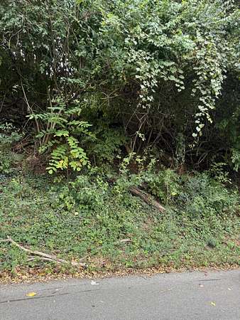 0.25 Acres of Residential Land for Sale in Roanoke, Virginia