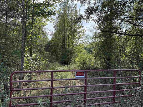 76.5 Acres of Agricultural Land for Sale in Plumerville, Arkansas