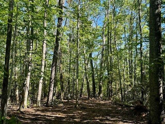 2.5 Acres of Residential Land for Sale in Cheboygan, Michigan