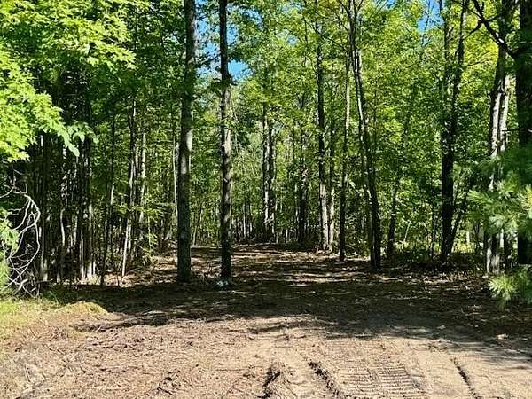 2.5 Acres of Residential Land for Sale in Cheboygan, Michigan