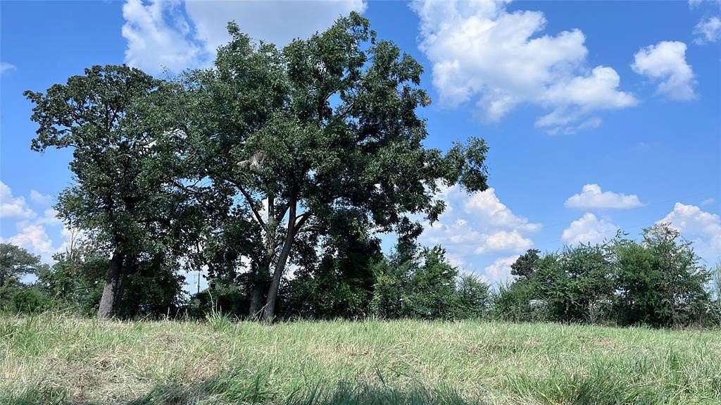 60.5 Acres of Land for Sale in Pickton, Texas