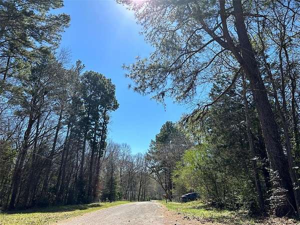 0.51 Acres of Residential Land for Sale in Willis, Texas