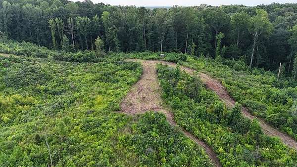 41.1 Acres of Recreational Land for Sale in New Albany, Mississippi