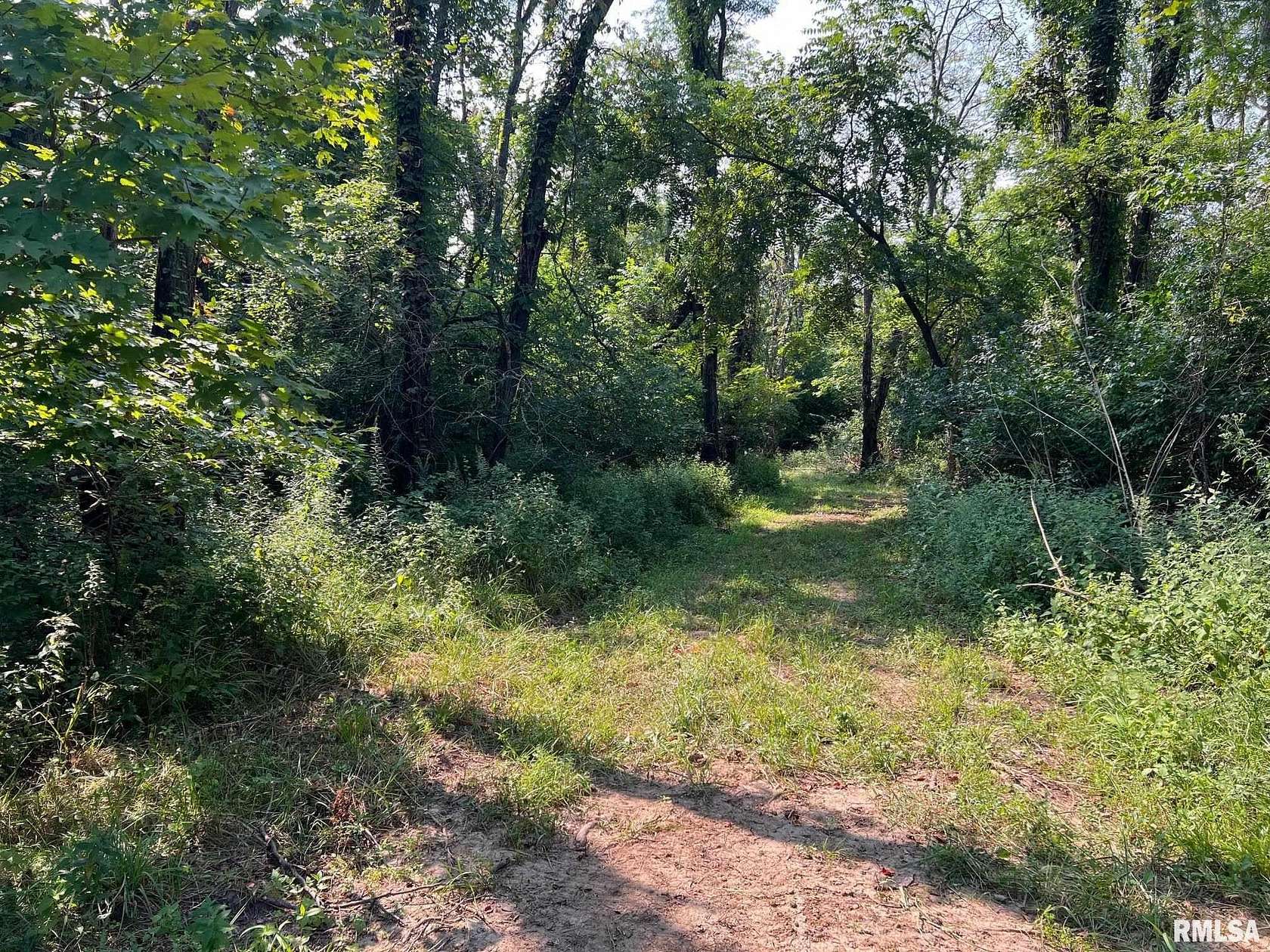 17 Acres of Recreational Land for Sale in Blandinsville, Illinois
