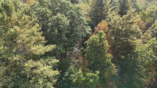 1.5 Acres of Land for Sale in Caldwell, West Virginia