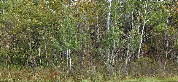 10 Acres of Land for Sale in International Falls, Minnesota
