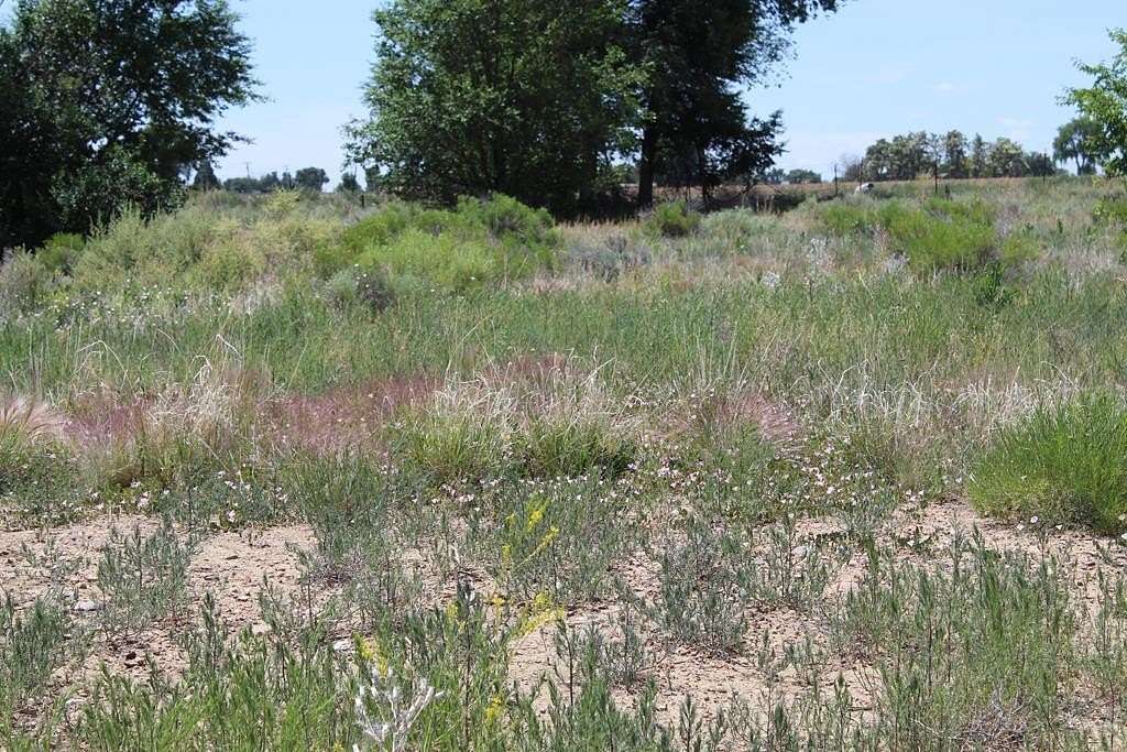 1 Acre of Residential Land for Sale in Pueblo, Colorado