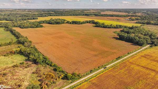 98 Acres of Agricultural Land for Sale in Bussey, Iowa