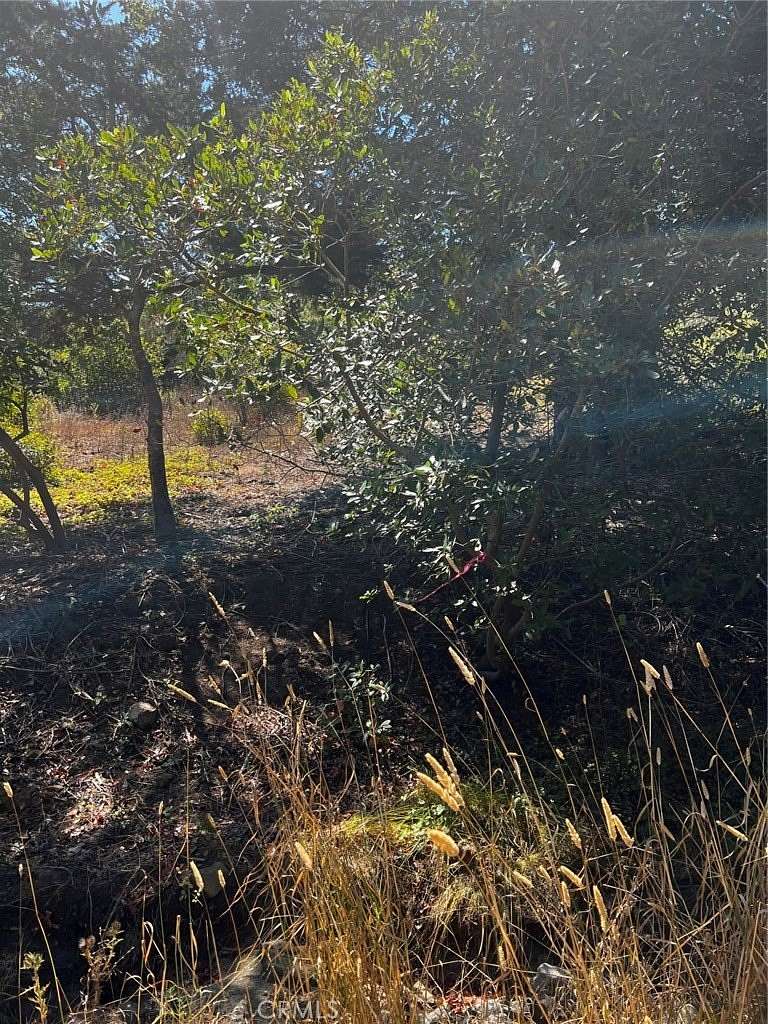 0.16 Acres of Residential Land for Sale in Cambria, California