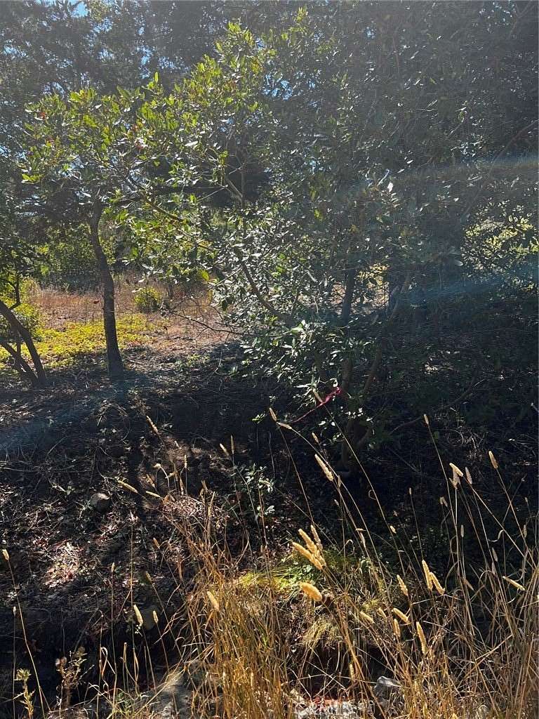 0.16 Acres of Residential Land for Sale in Cambria, California