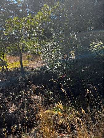 0.16 Acres of Residential Land for Sale in Cambria, California