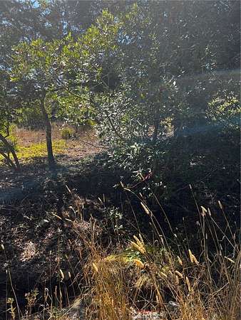 0.16 Acres of Land for Sale in Cambria, California