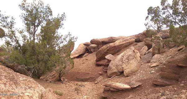 10 Acres of Residential Land for Sale in Concho, Arizona