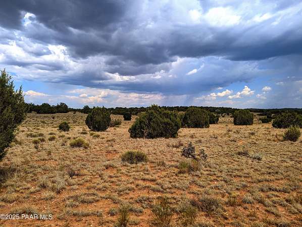 10 Acres of Recreational Land for Sale in Seligman, Arizona