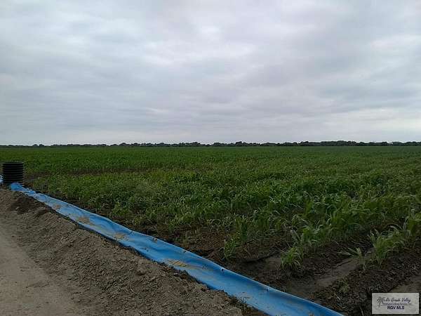 121 Acres of Land for Sale in Santa Maria, Texas