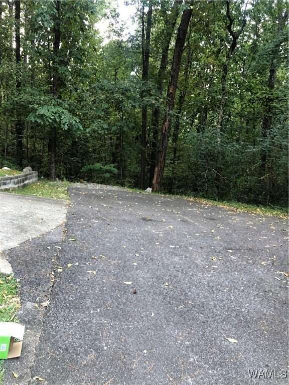 0.16 Acres of Residential Land for Sale in Birmingham, Alabama