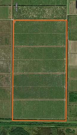 80 Acres of Land for Sale in Vero Beach, Florida