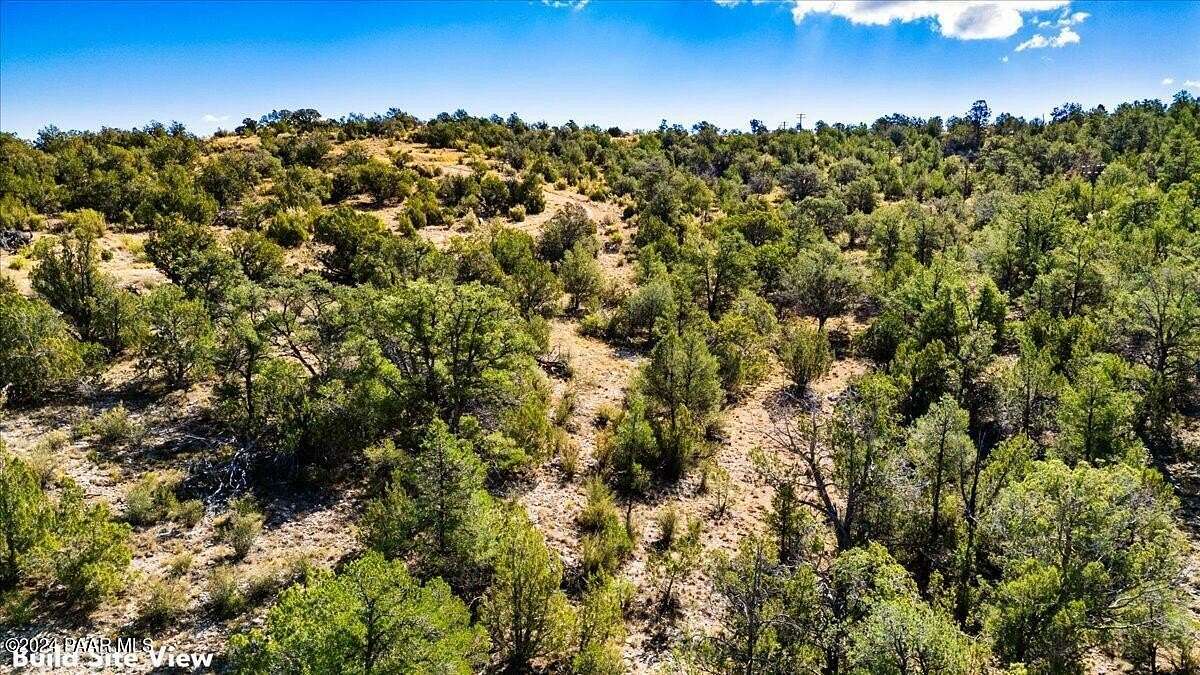37.8 Acres of Recreational Land for Sale in Seligman, Arizona