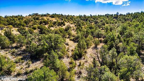 37.8 Acres of Recreational Land for Sale in Seligman, Arizona