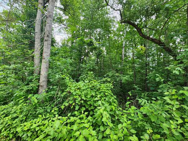 0.59 Acres of Residential Land for Sale in Glennie, Michigan