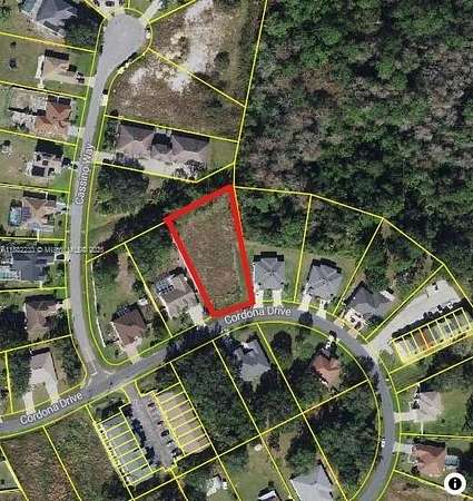 0.23 Acres of Residential Land for Sale in Kissimmee, Florida