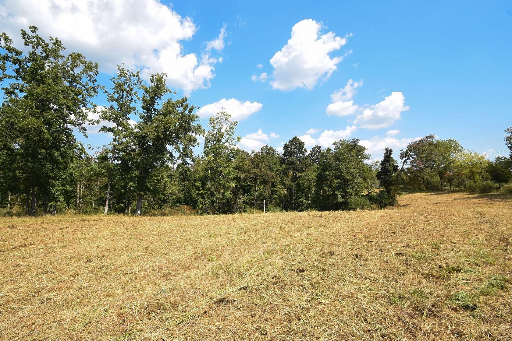 15 Acres of Agricultural Land for Sale in Indian Mound, Tennessee