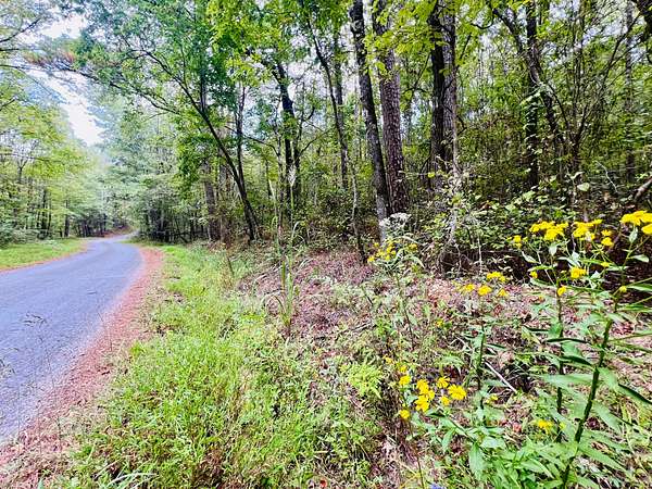 41.9 Acres of Land for Sale in Booneville, Mississippi