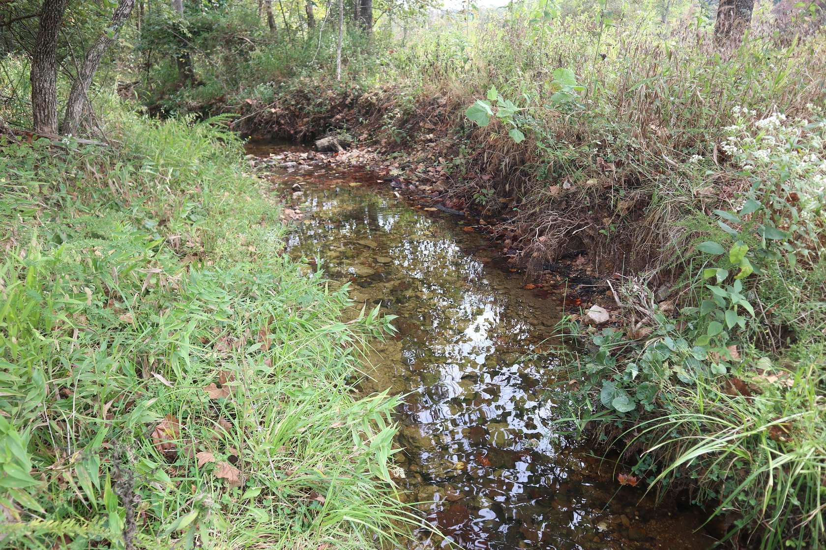 110 Acres of Land for Sale in Salem, Arkansas