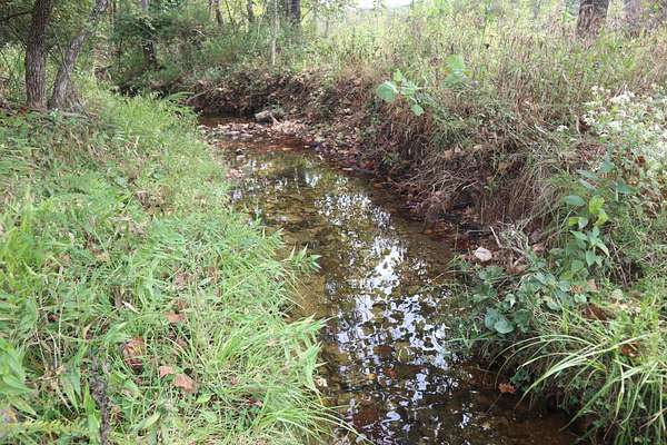 110 Acres of Land for Sale in Salem, Arkansas