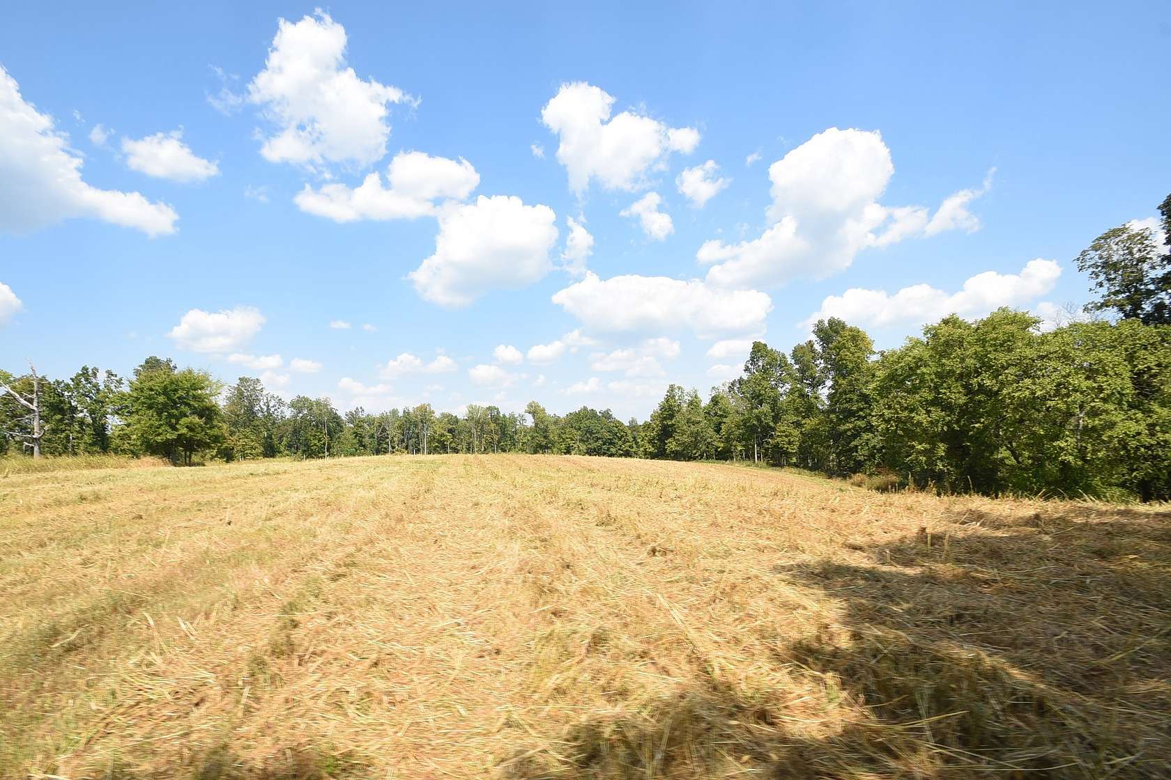 65 Acres of Recreational Land & Farm for Sale in Indian Mound, Tennessee