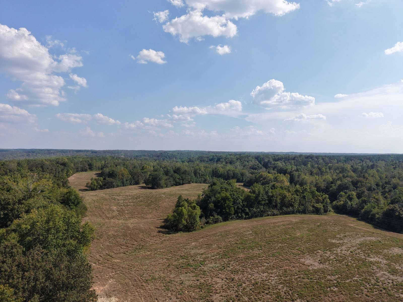 159 Acres of Land for Sale in Decaturville, Tennessee