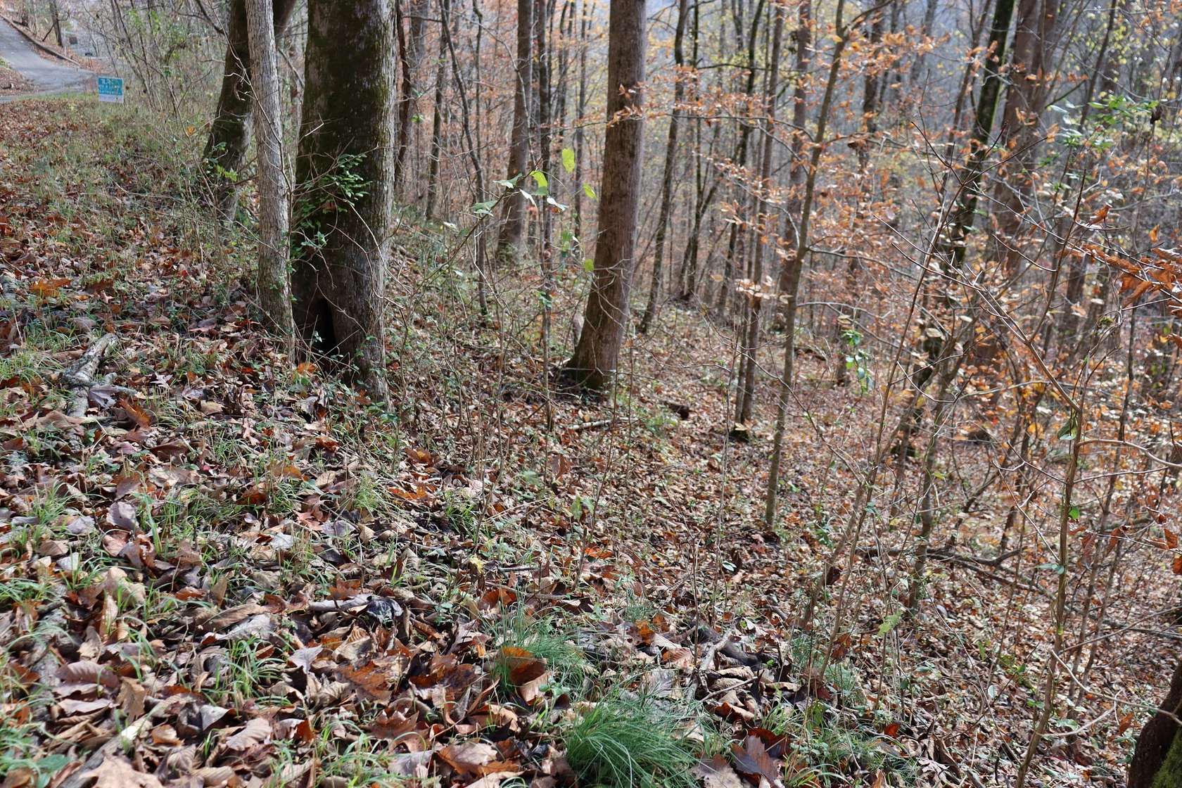 0.7 Acres of Residential Land for Sale in Smithville, Tennessee