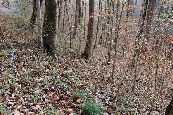 0.7 Acres of Residential Land for Sale in Smithville, Tennessee