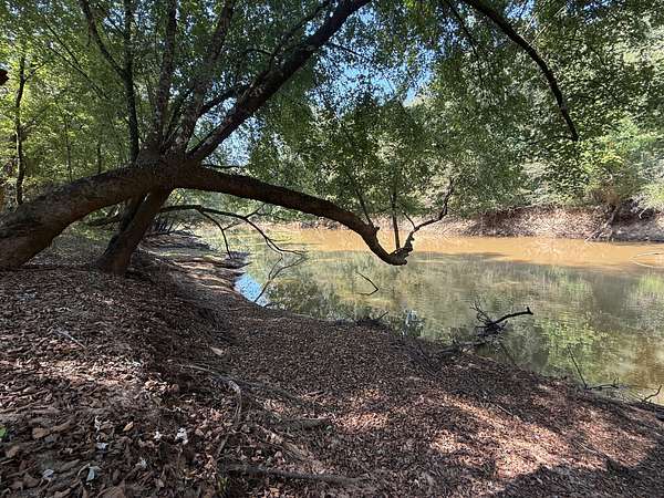 361 Acres of Recreational Land & Farm for Sale in Middleton, Tennessee