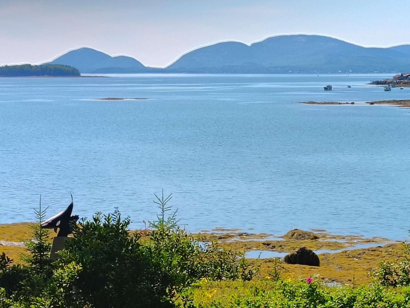 24.8 Acres of Recreational Land with Home for Sale in Hancock, Maine