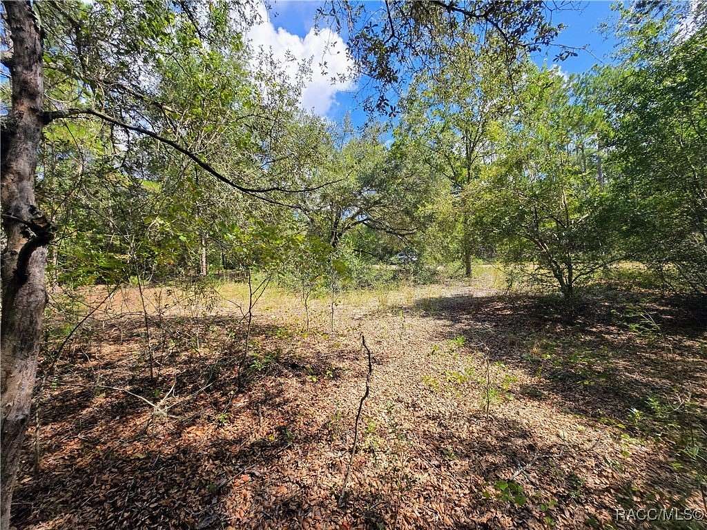 0.27 Acres of Residential Land for Sale in Dunnellon, Florida