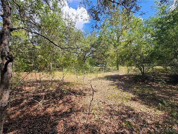0.27 Acres of Residential Land for Sale in Dunnellon, Florida