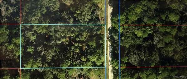 1 Acre of Residential Land for Sale in Inglis, Florida